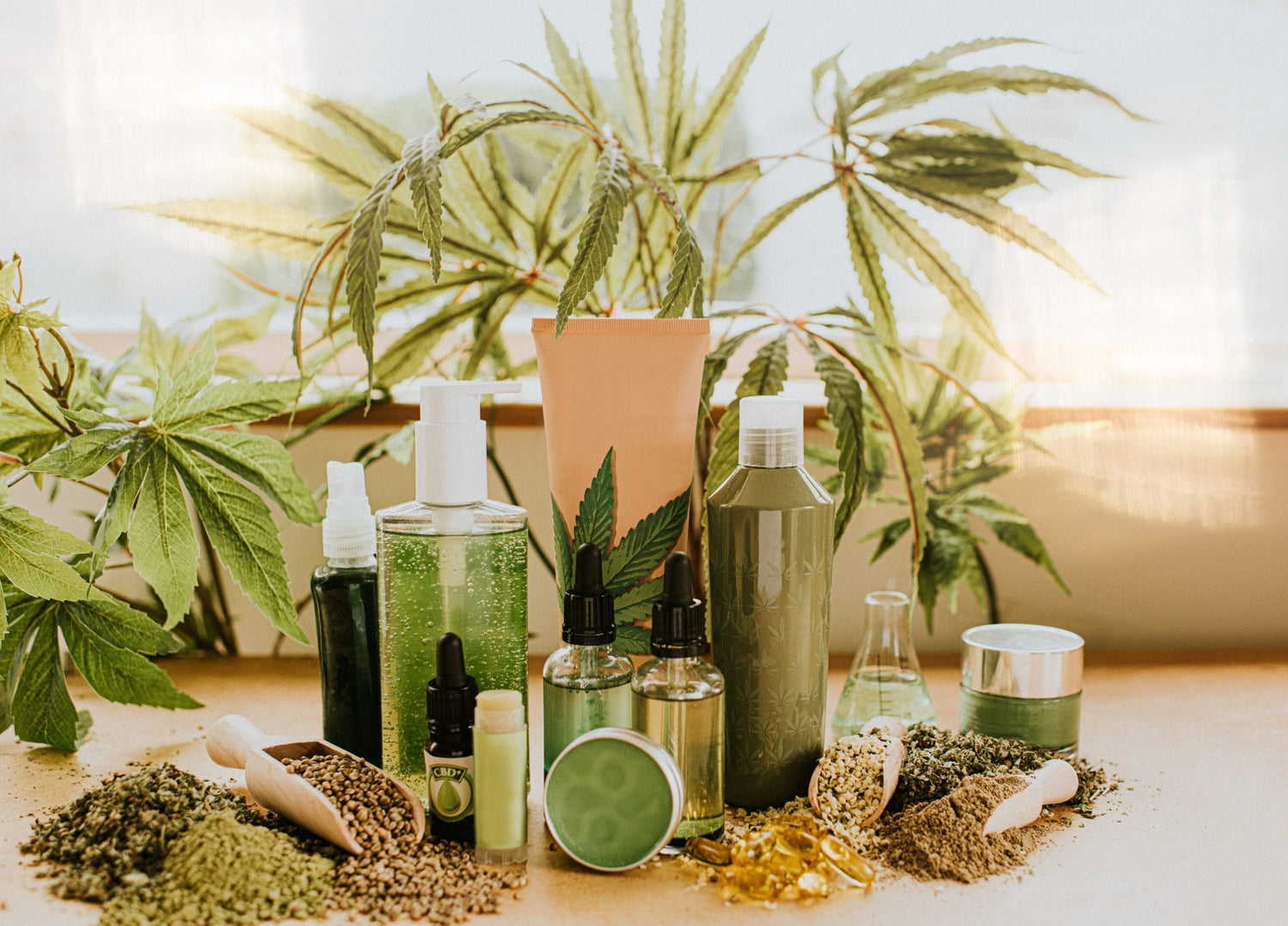 The Rise of CBD: A Deep Dive into Its Benefits, Market, and Future - True Life Spirits