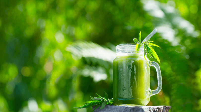 Sipping Through Time: The Ancient Origins of Cannabis Beverages - True Life Spirits